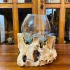 Vaso orchidea vetro radice calice etnico decorativo - ETNICBAY