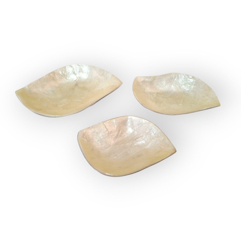 Set piattini foglia madre perla porta antipasti
