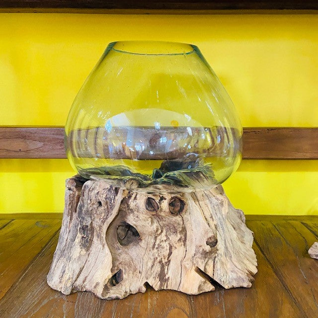 Vaso vetro e radice ampolla acquario stile etnico - ETNICBAY