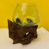 Vaso Orchidee Vetro Radice Ampolla Acquario - ETNICBAY